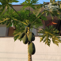 фото из отзыва ID 2109569