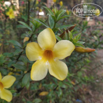 фото из отзыва ID 2109569