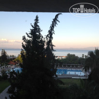 фото из отзыва ID 2109610