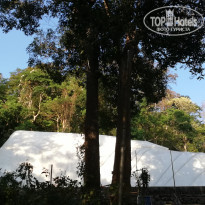 фото из отзыва ID 2109673