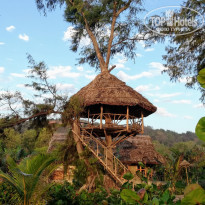 фото из отзыва ID 2109673