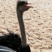 фото из отзыва ID 2109673