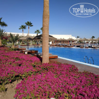 фото из отзыва ID 2109716