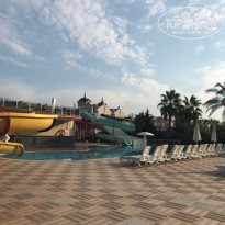 фото из отзыва ID 2109800