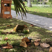 фото из отзыва ID 2108147