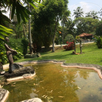 фото из отзыва ID 2109965