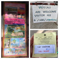 фото из отзыва ID 2108951