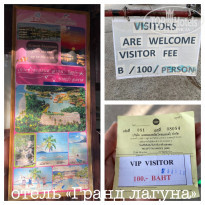 фото из отзыва ID 2108951