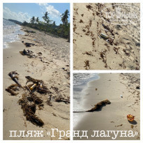 фото из отзыва ID 2108951