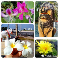 фото из отзыва ID 2101977