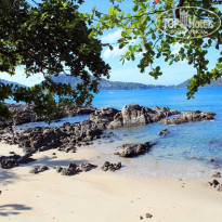 фото из отзыва ID 2101977