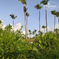 фото из отзыва ID 2106149