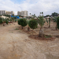 фото из отзыва ID 2108896