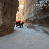 фото из отзыва ID 2108896