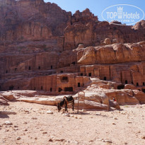 фото из отзыва ID 2108896