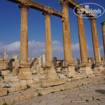 фото из отзыва ID 2108896