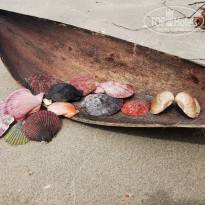 фото из отзыва ID 2105457