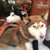 фото из отзыва ID 2102973