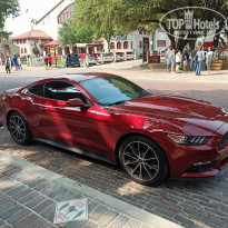 фото из отзыва ID 2108672