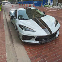 фото из отзыва ID 2108672