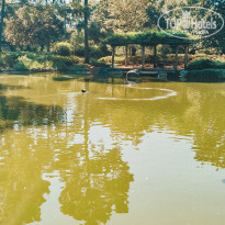 фото из отзыва ID 2108672