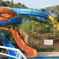 фото из отзыва ID 211053