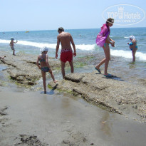 фото из отзыва ID 211210