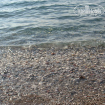 фото из отзыва ID 211403