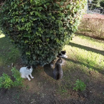 фото из отзыва ID 2110066