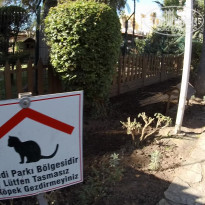 фото из отзыва ID 2110066