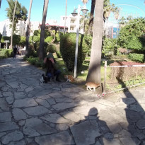 фото из отзыва ID 2110066