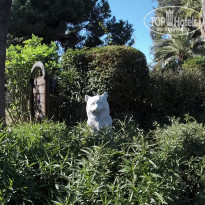 фото из отзыва ID 2110066