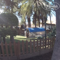 фото из отзыва ID 2110066