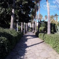 фото из отзыва ID 2110066