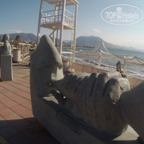 фото из отзыва ID 2110066