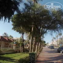 фото из отзыва ID 2110066