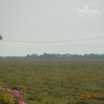 фото из отзыва ID 2110075