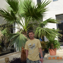 фото из отзыва ID 2110075