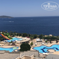 фото из отзыва ID 2110144