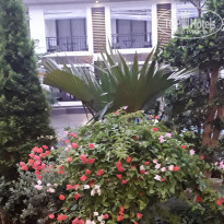 фото из отзыва ID 2110132