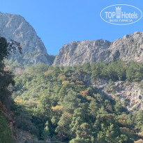 фото из отзыва ID 2110207