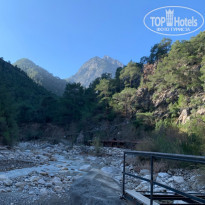 фото из отзыва ID 2110207