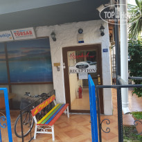 фото из отзыва ID 2110353