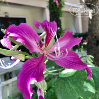 фото из отзыва ID 2110413