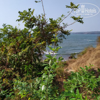 фото из отзыва ID 2110363