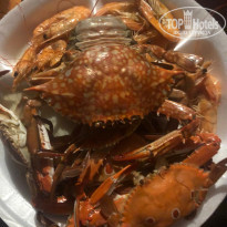 фото из отзыва ID 2110363