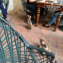 фото из отзыва ID 2110504