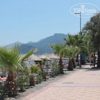 фото из отзыва ID 2110512