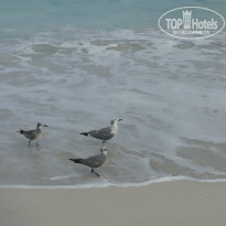 фото из отзыва ID 2110594