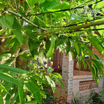 фото из отзыва ID 2110616